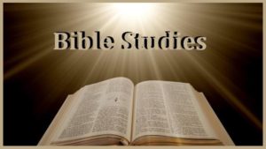 bible studys